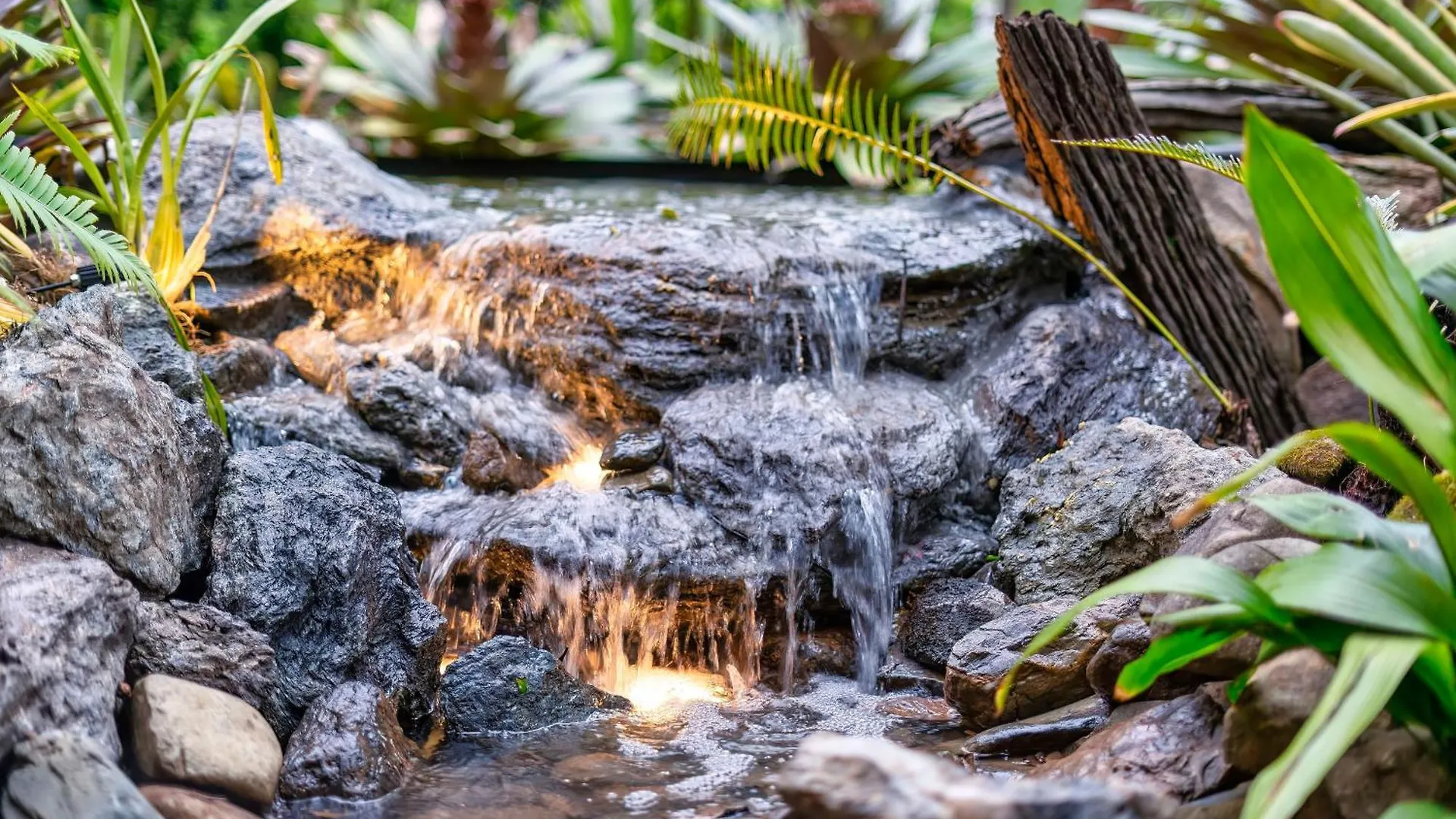 Cockatoo Cottage Creekside Retreat Near Theme Parks And Mount Tamborine Wongawallan