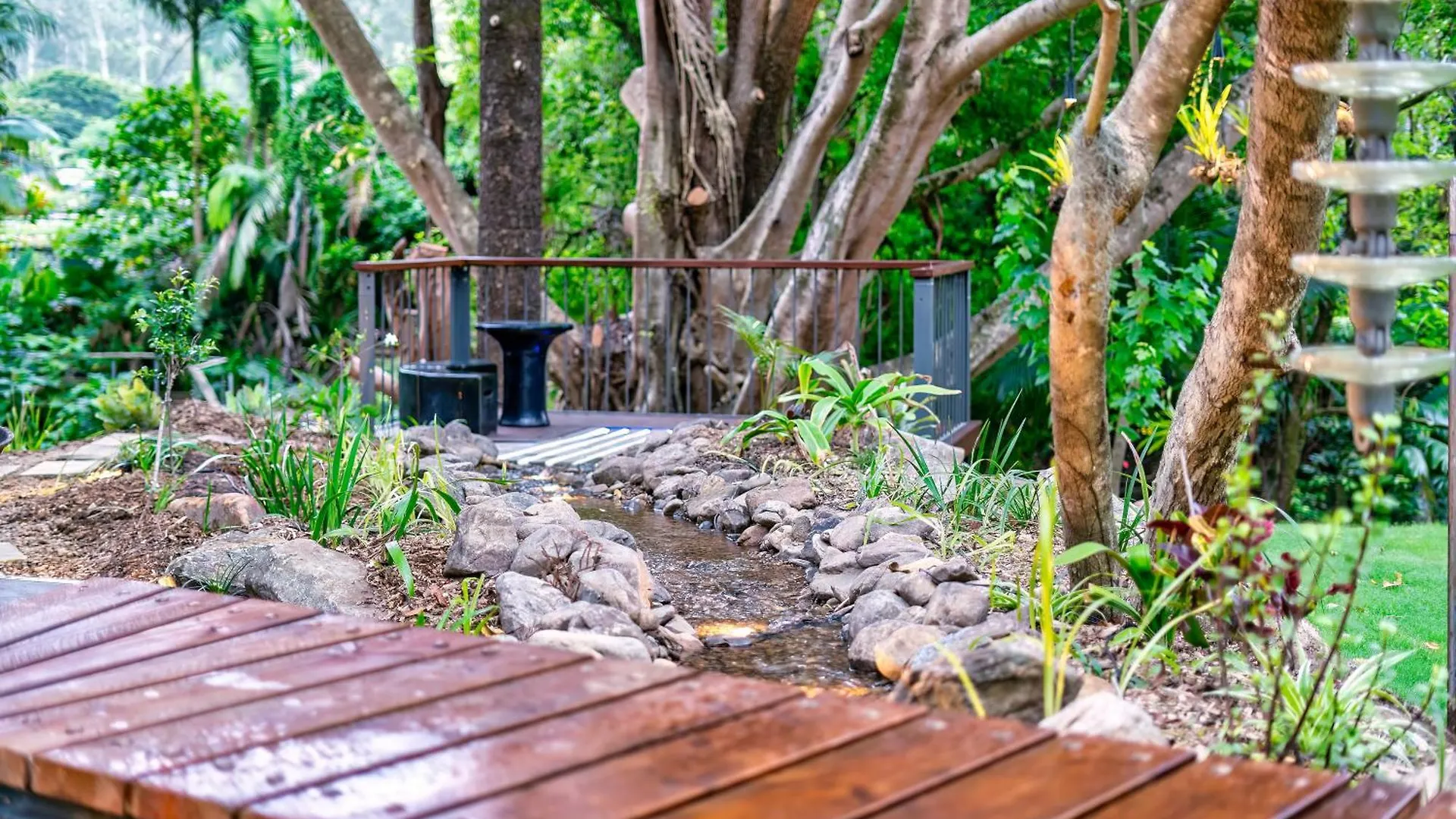 Cockatoo Cottage Creekside Retreat Near Theme Parks And Mount Tamborine Wongawallan Australia